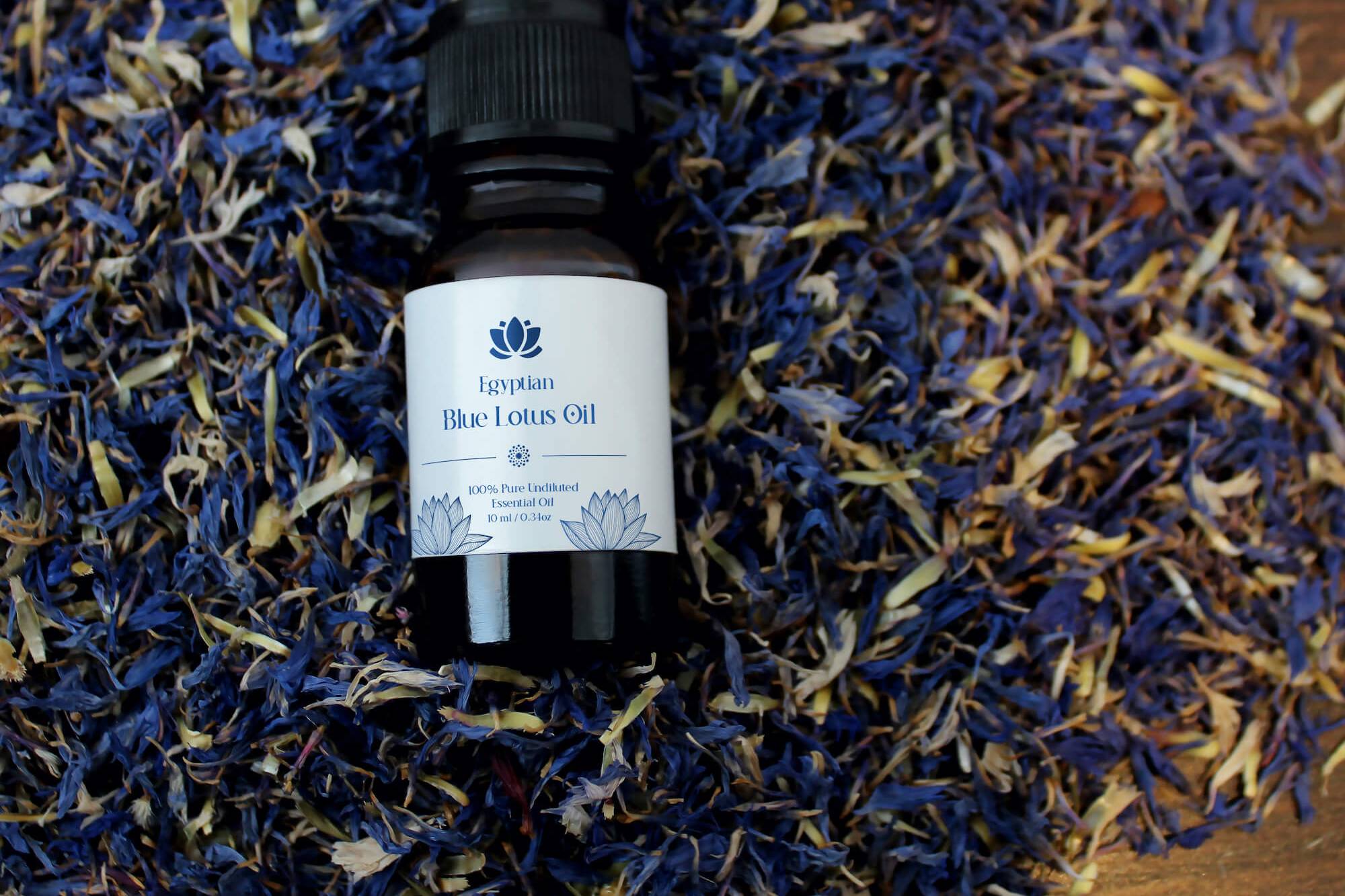 Hand-bottled Pure Egyptian Blue Lotus Essential Oil 10ml in Cobalt Glass