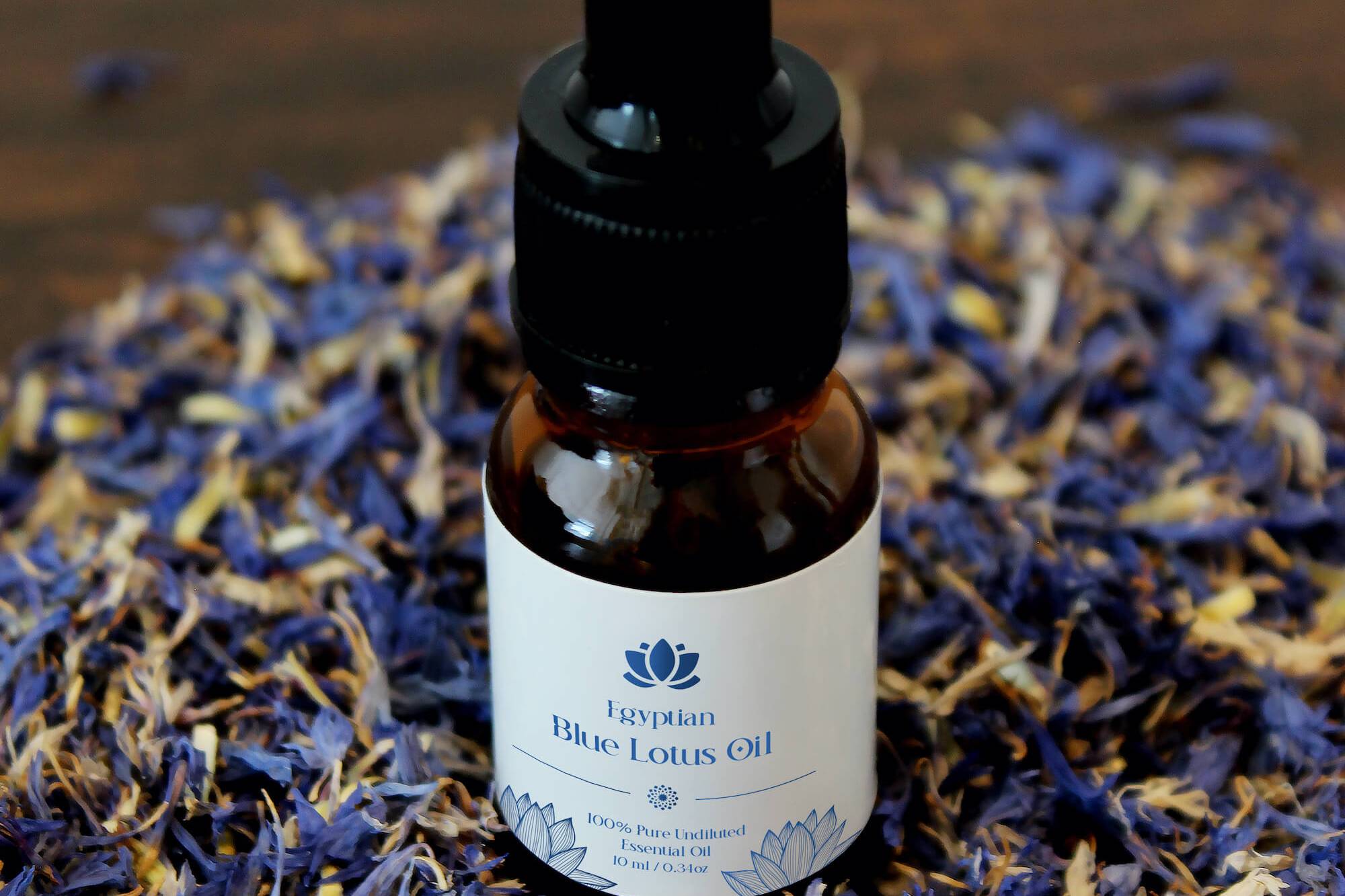 Hand-bottled Pure Egyptian Blue Lotus Essential Oil 10ml in Cobalt Glass