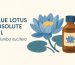 blue lotus absolute oil nelumbo nucifera