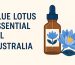 blue lotus essential oil australia