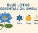 blue lotus essential oil smell