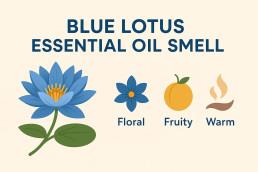 blue lotus essential oil smell