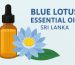 blue lotus essential oil sri lanka