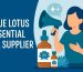 blue lotus essential oil supplier
