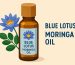 blue lotus moringa oil