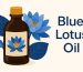 blue lotus oil