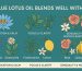 blue lotus oil blends well with