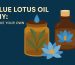 blue lotus oil diy