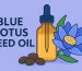 blue lotus seed oil
