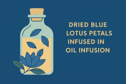 dried blue lotus petals infused in oil infusion