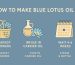 how to make blue lotus oil