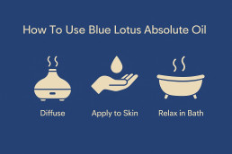 how to use blue lotus absolute oil