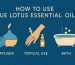 how to use blue lotus essential oil