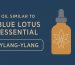 oil similar to blue lotus essential