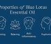properties of blue lotus essential oil