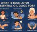 what is blue lotus essential oil good for