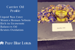 Blue Lotus Oil Carrier Oil Pairings