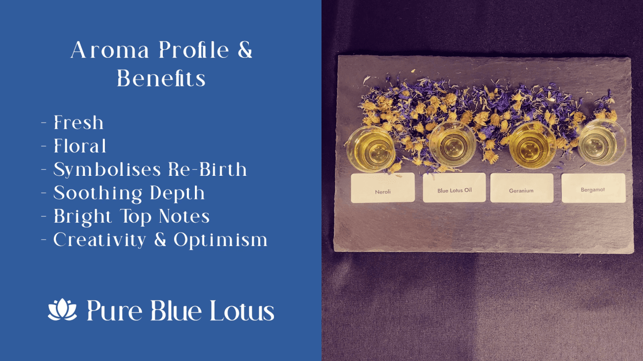 Blue Lotus Oil Seasonal & Mood Boosting Essential Oil Blends