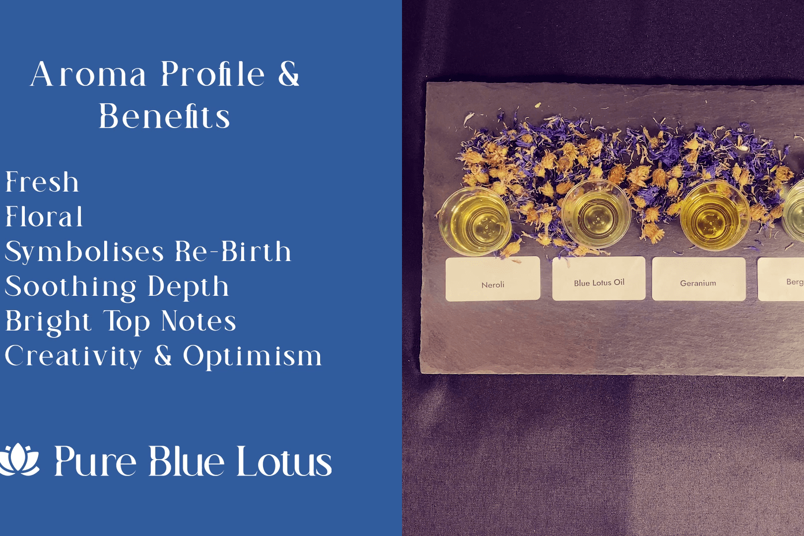 Blue Lotus Oil – sæsonbestemte og humørløftende blandinger af æteriske olier
