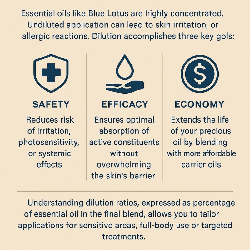 blue lotus oil why dilution matters blue lotus oil why dilution matters