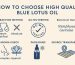 how to choose high quality blue lotus oil