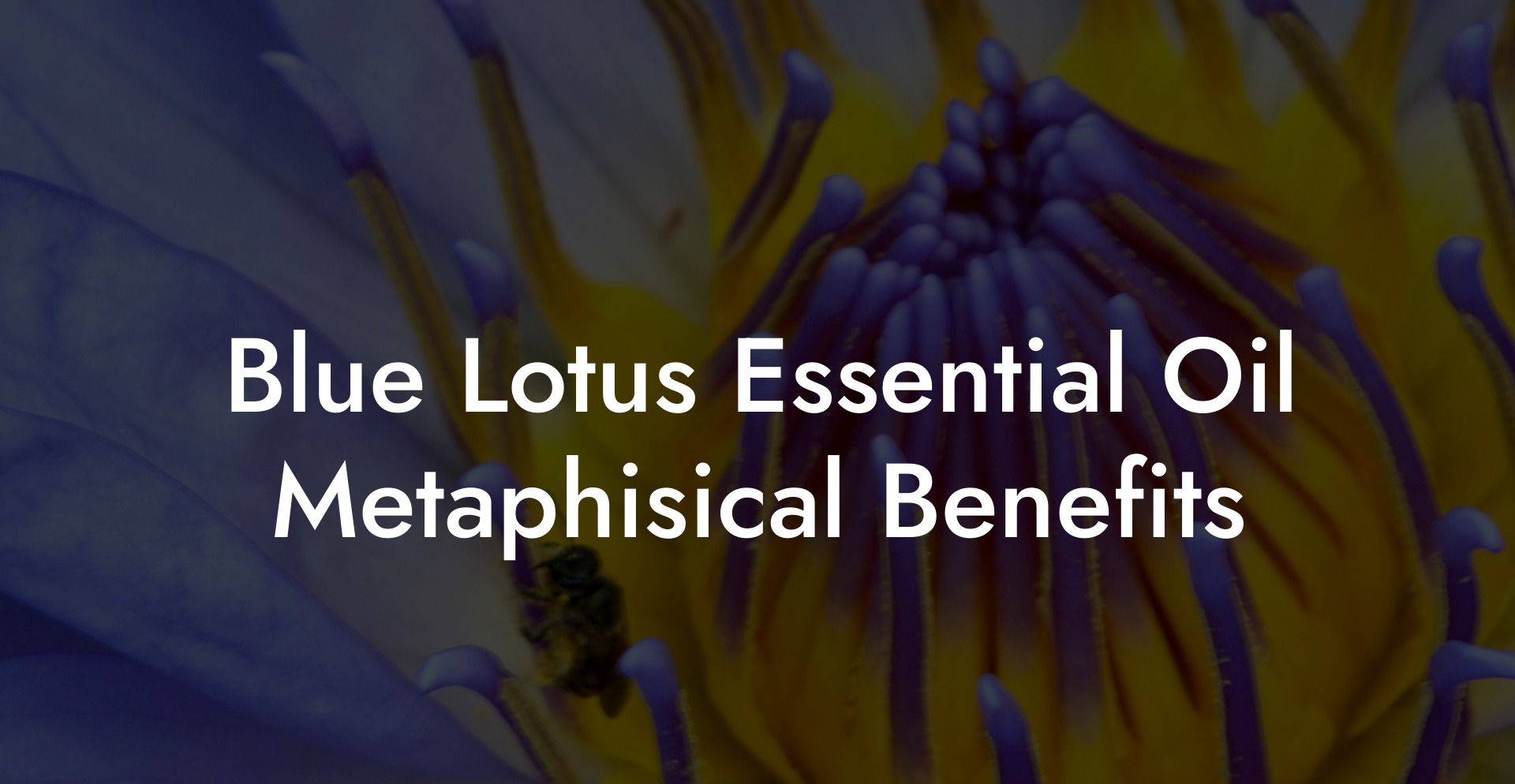 Blue Lotus Essential Oil Metaphisical Benefits