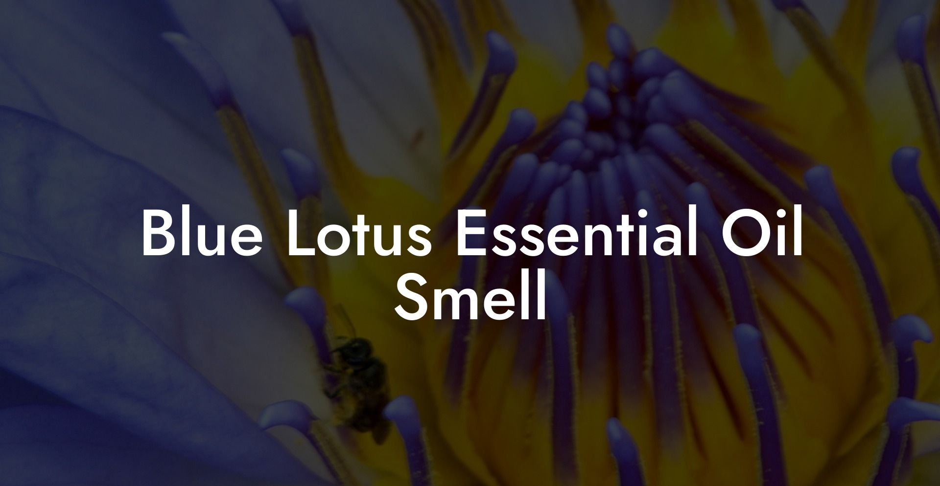 Blue Lotus Essential Oil Smell