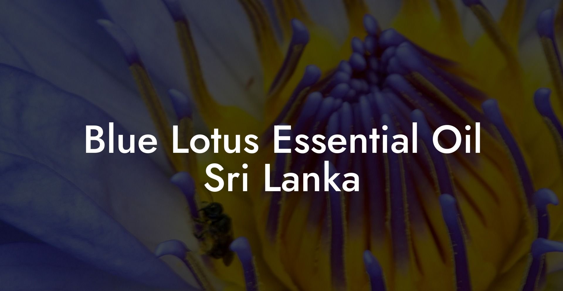 Blue Lotus Essential Oil Sri Lanka