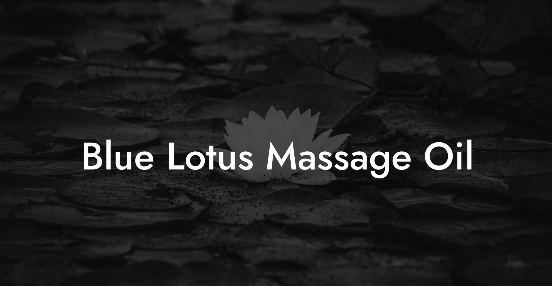 Blue Lotus Massage Oil