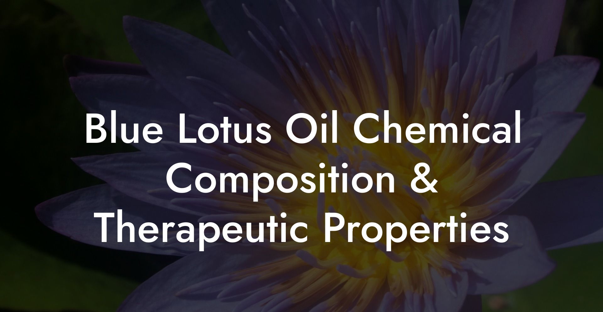Blue Lotus Oil Chemical Composition & Therapeutic Properties