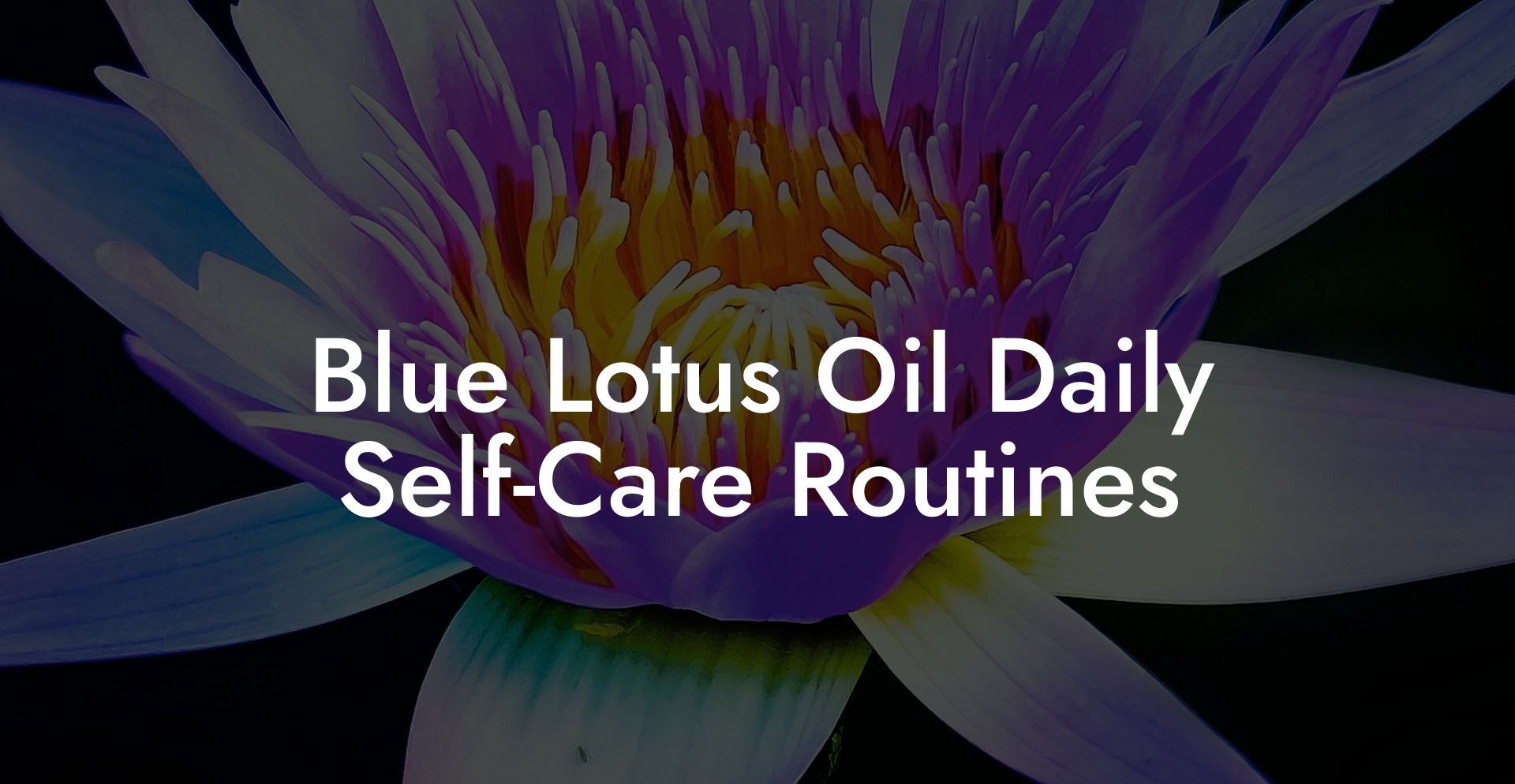 Blue Lotus Oil Daily Self‑Care Routines
