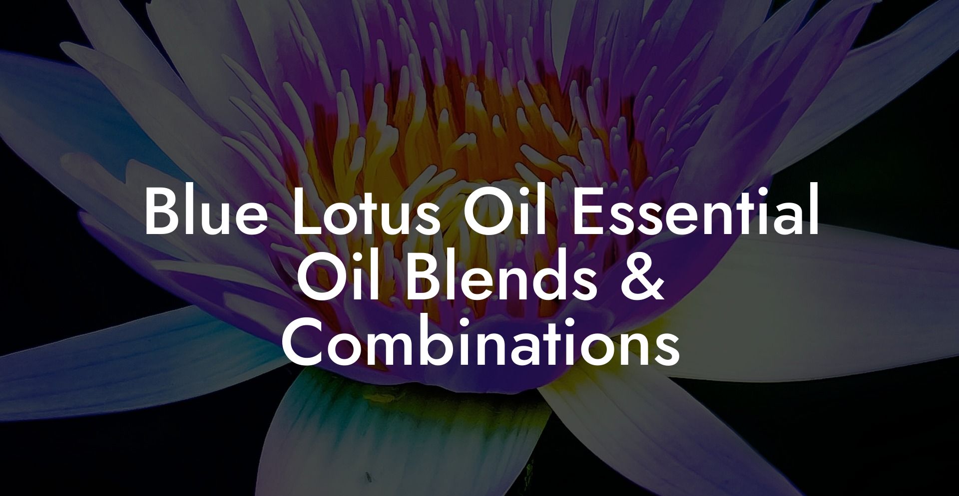 Blue Lotus Oil Essential Oil Blends & Combinations