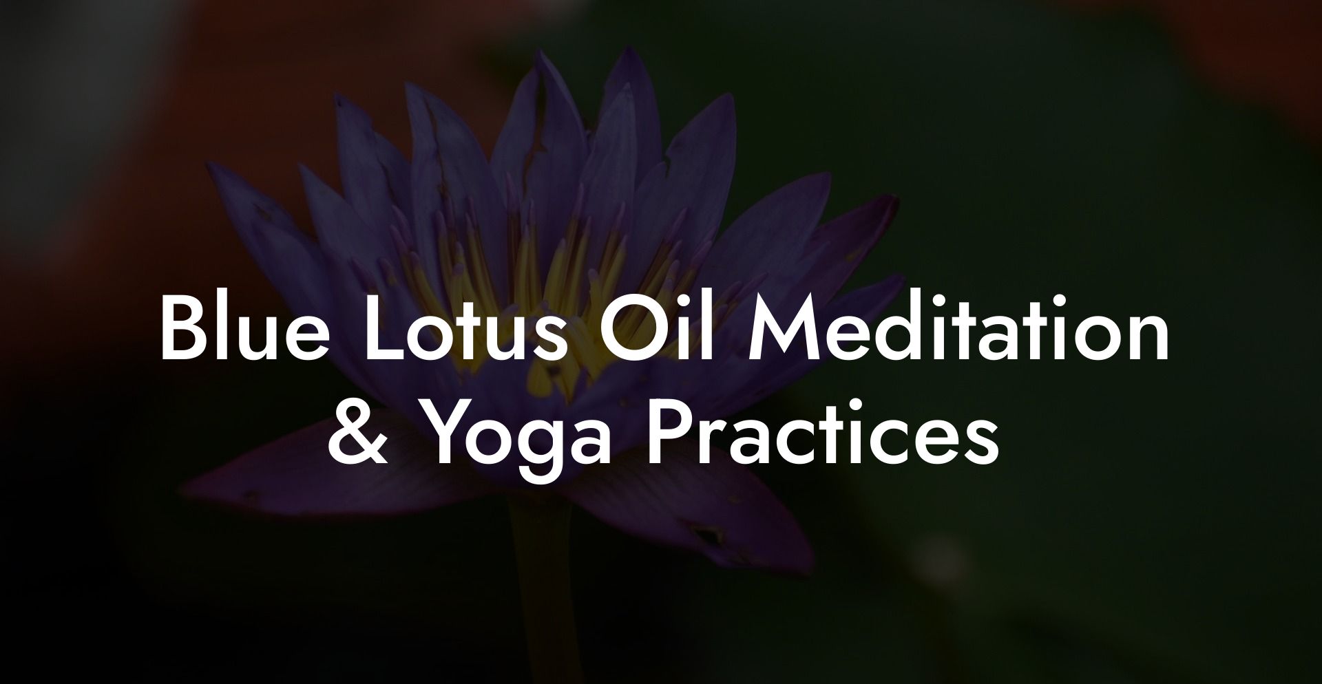 Blue Lotus Oil Meditation & Yoga Practices