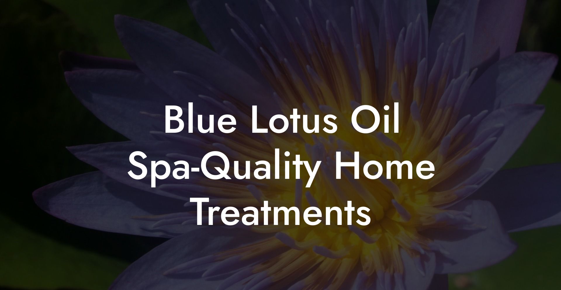 Blue Lotus Oil Spa‑Quality Home Treatments