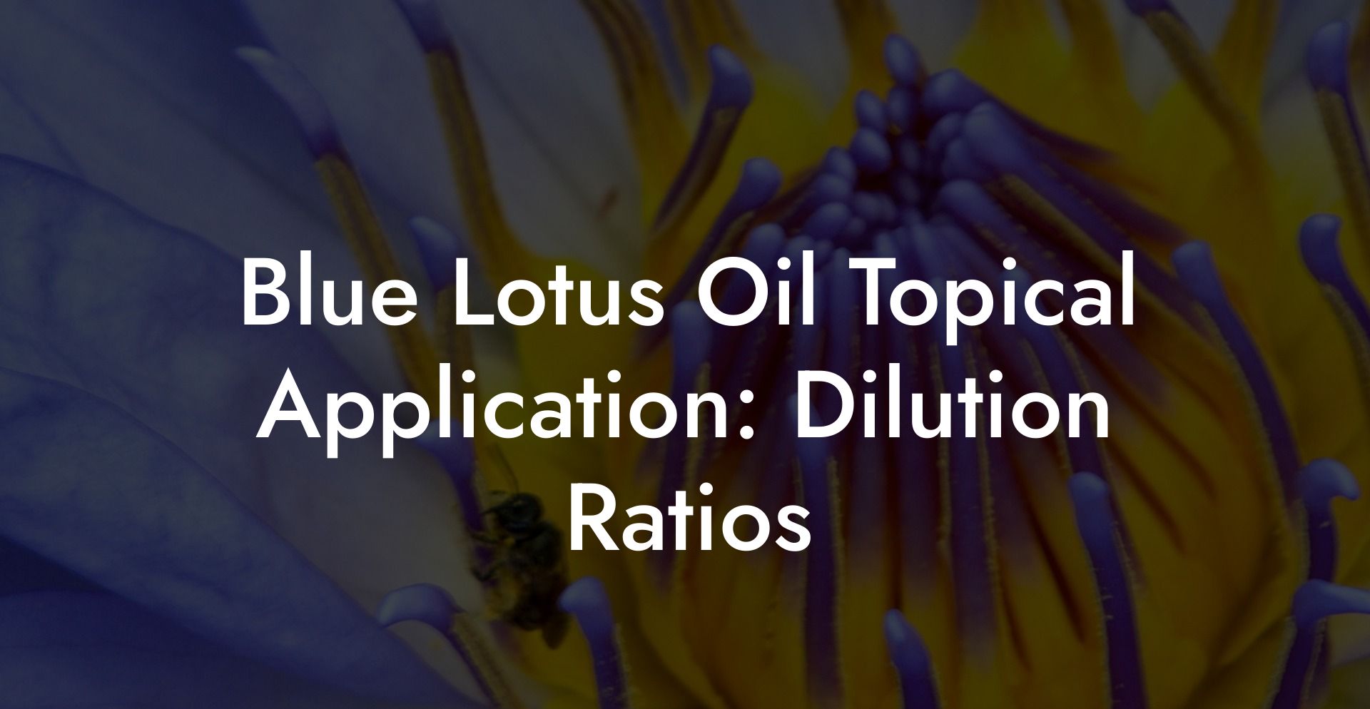 Blue Lotus Oil Topical Application: Dilution Ratios