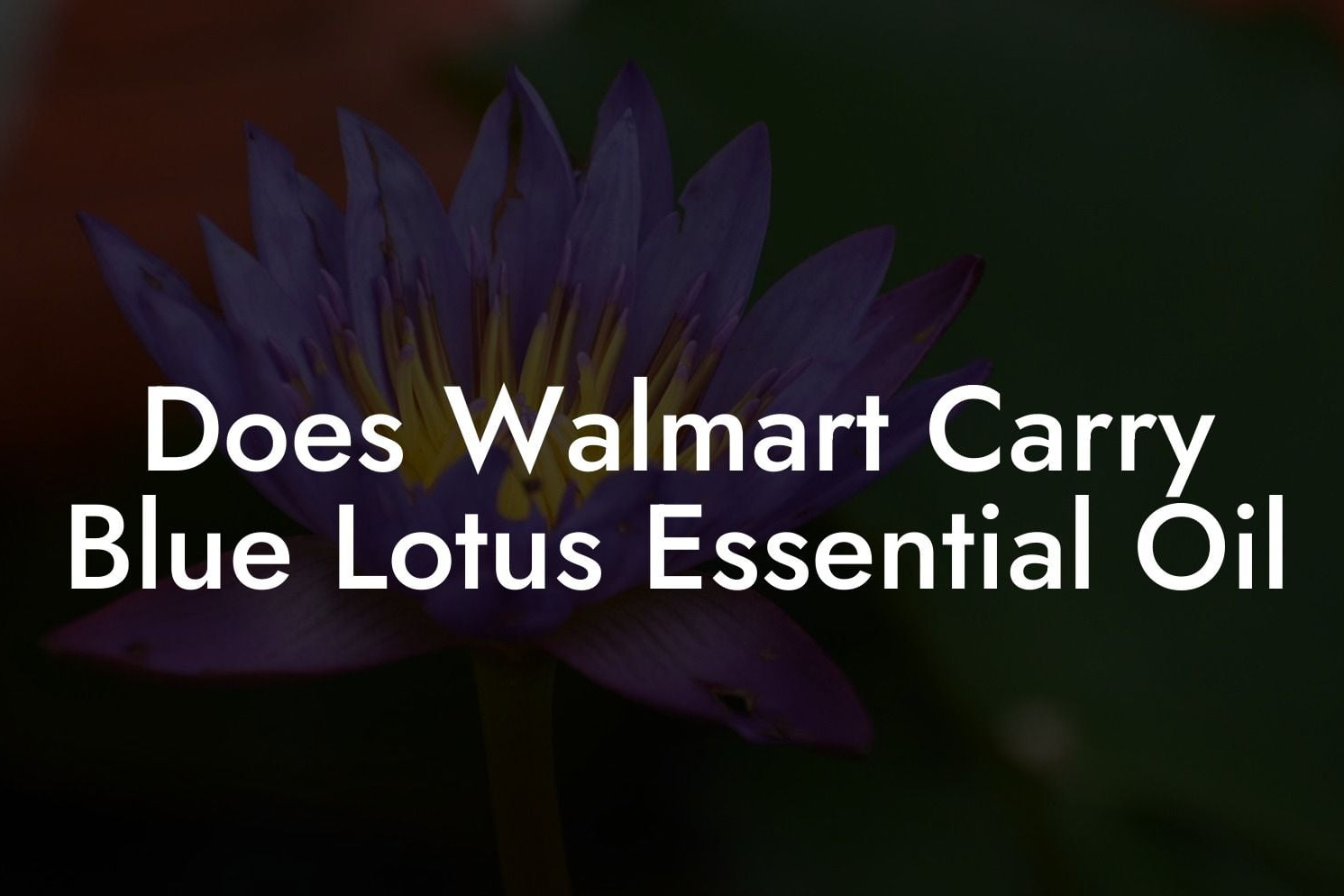 Does Walmart Carry Blue Lotus Essential Oil
