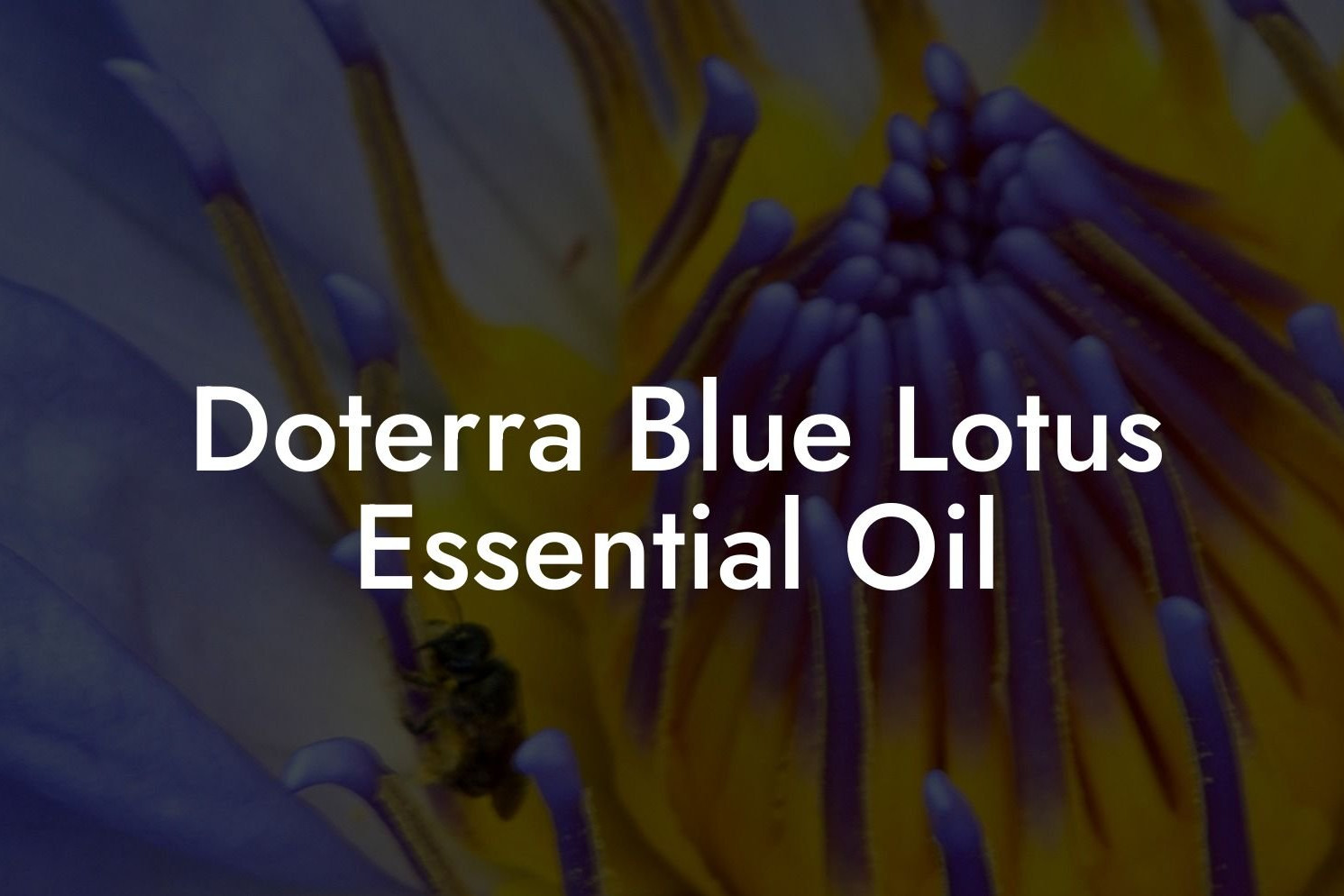Doterra Blue Lotus Essential Oil