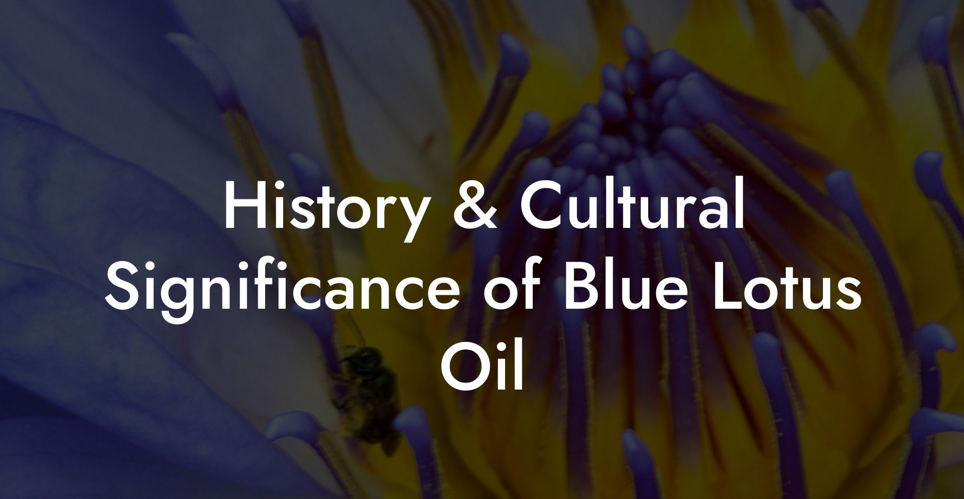 History & Cultural Significance of Blue Lotus Oil