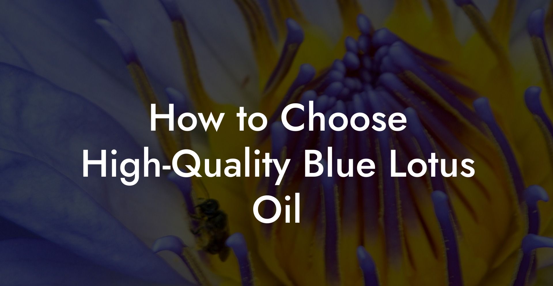 How to Choose High‑Quality Blue Lotus Oil