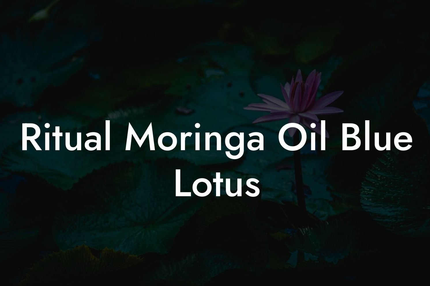 Ritual Moringa Oil Blue Lotus