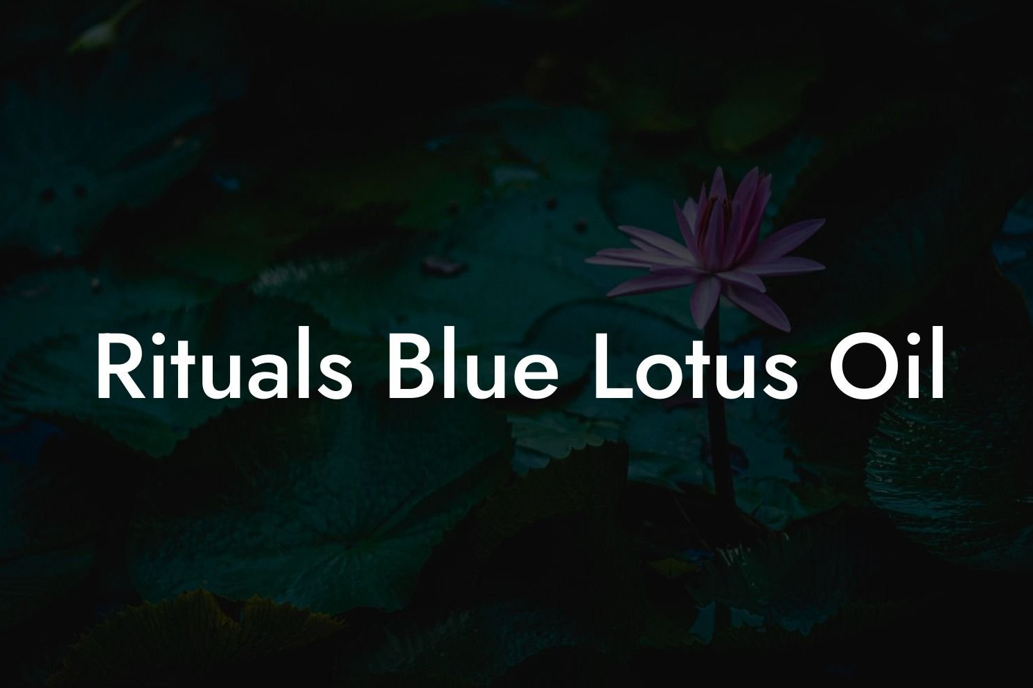 Rituals Blue Lotus Oil