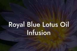 Royal Blue Lotus Oil Infusion