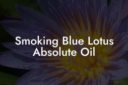 Smoking Blue Lotus Absolute Oil