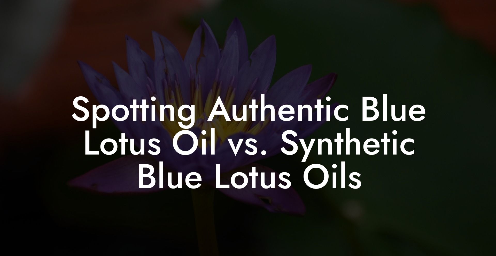 Spotting Authentic Blue Lotus Oil vs. Synthetic Blue Lotus Oils