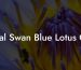 Teal Swan Blue Lotus Oil
