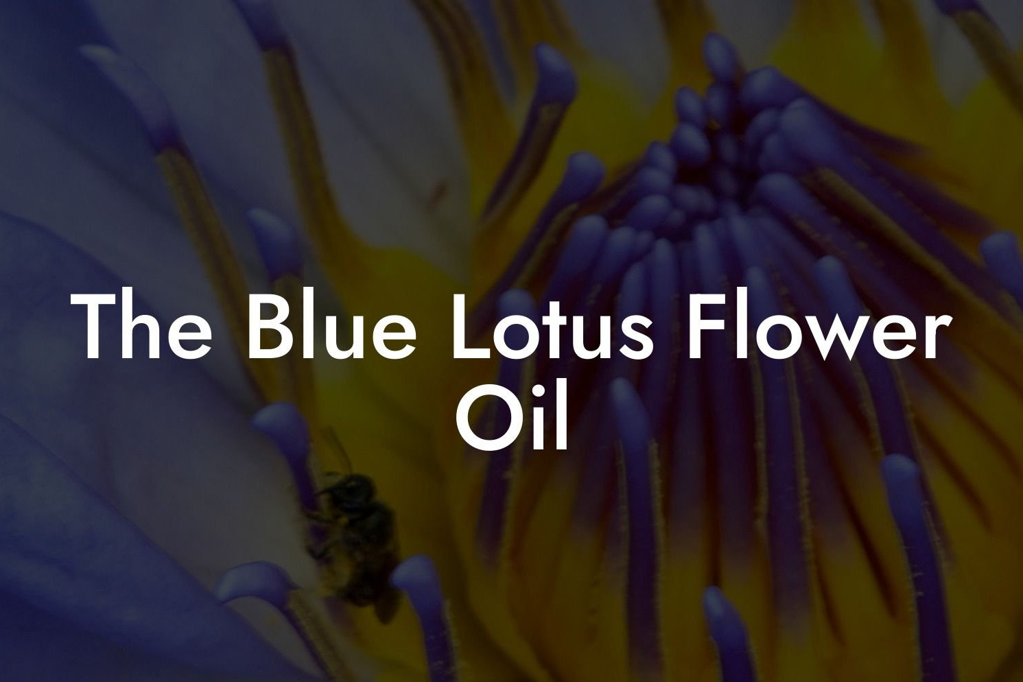 Olien fra den blå lotusblomst